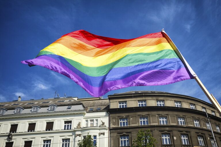 flag, pride, lgbt-4552833.jpg