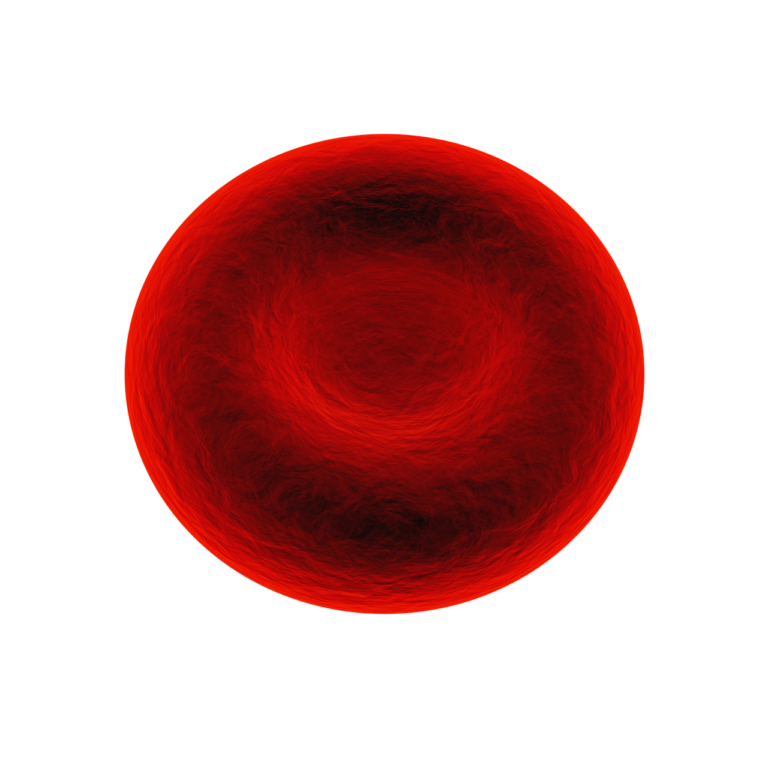 red blood cell, rbc, erythrocyte-1861640.jpg